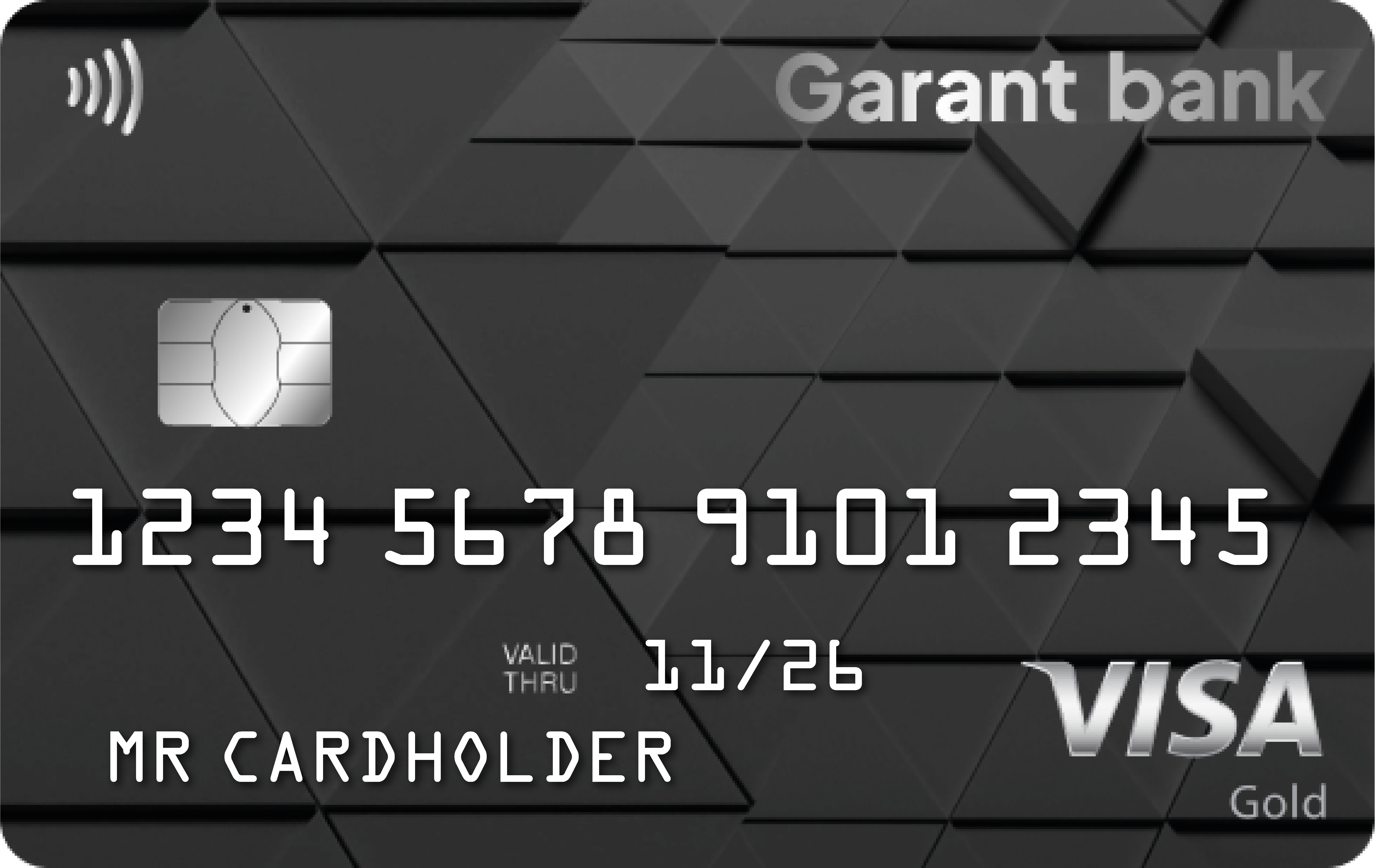 Visa Gold kartasi